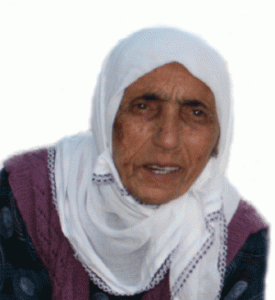 Naci'nin-annesi