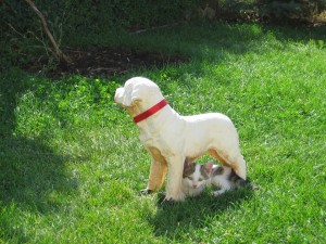 IMG_1443